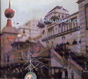 Rina Banerjee