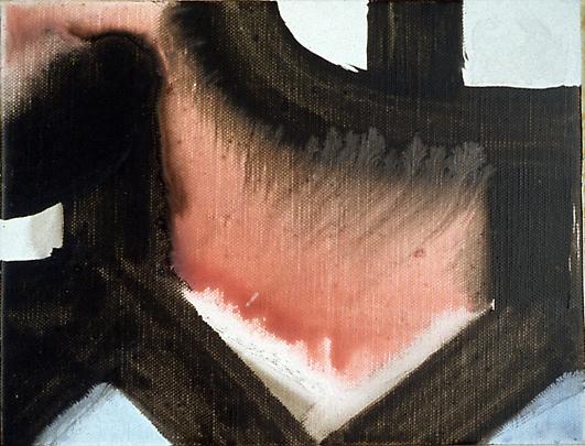 Final Details (Five)
2003
14 1/2 x 17 3/4 inches
Mixed media on canvas