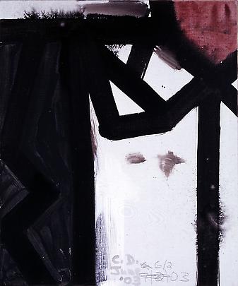 Composite Image (Collar)
2003
25 x 40 inches
Acrylic on canvas