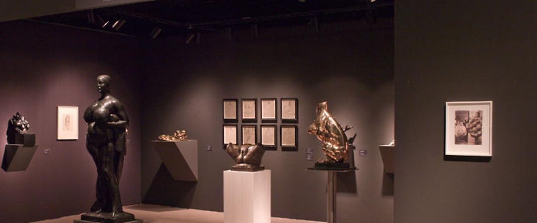 Exhibition Image