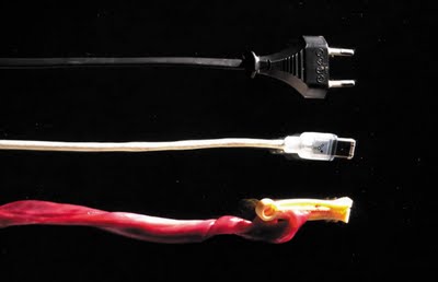 Koen Vanmechelen
Energy, Communication, Life
2006, Lightbox, 95 x 135 cm