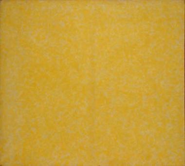 Howard Mehring - Untitled (yellow all-over)
c 1962, magna on canvas, 55 x 55 inches.