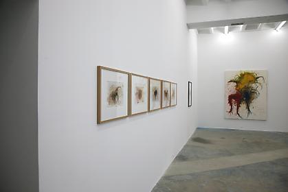 Koen Vanmechelen - Cosmopolitan Chicken Project DC
installation view