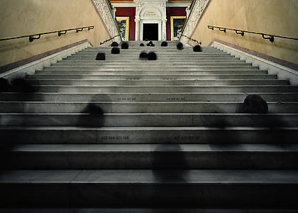 Maria Friberg
<i>commoncause</i>
2008, cibachrome, 59 x 79 inches, edition:6