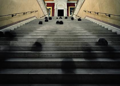 MARIA FRIBERG
commoncause
2008, cibachrome, 59 x 79 inches, edition: 6