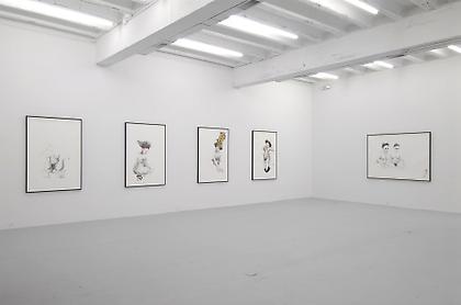 ZOË CHARLTON
Family (installation view at Conner Contemporary Art, November 2008)