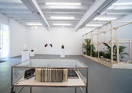 KOEN VANMECHELEN
Leaving Paradise
2013, installation view, CONNERSMITH.