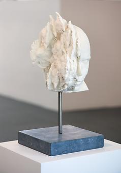 KOEN VANMECHELEN
Symbiosis C.C.P
2011, selective lasersintering (polyamide), wood, stainless steel, 19.75 x 10 x 10 inches.
unique.