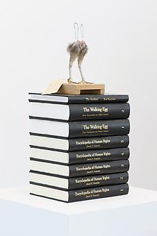 KOEN VANMECHELEN
Natural Knowledge
2013, encyclopedia of human rights, chicken feet (Red Jungle Fowl), wood, 19.75 x 12 x 8 inches, unique