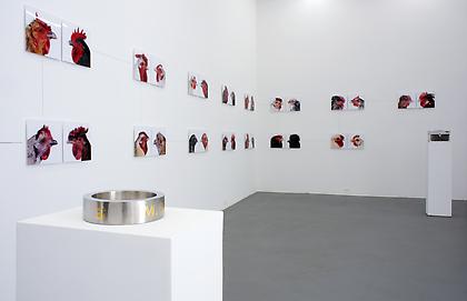 KOEN VANMECHELEN
Leaving Paradise
2013, installation view, CONNERSMITH.