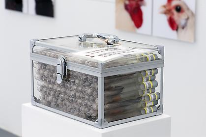 KOEN VANMECHELEN
Under Pressure - C.C.P. (detail)
2013, test tubes, labels, feathers, plexiglass, 6 x 10.25 x 46.5 inches
unique