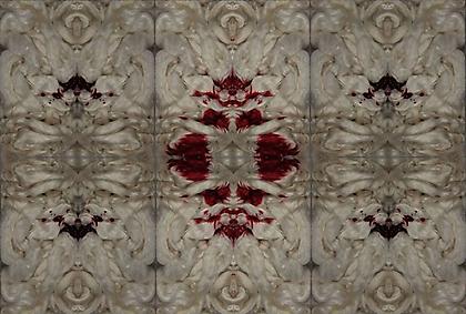 PABLO GARCIA LOPEZ
Where the Wild Tulips Grow
2012, three-channel video installation, 4 minutes 25 seconds