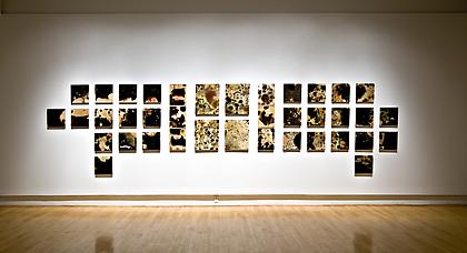 SELIN BALCI
Contamination
2012, microbial growth on boards, dimensions variable