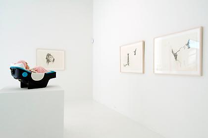 PATRICIA PICCININI
The Welcome Guest
Installation view