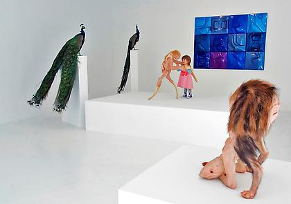 PATRICIA PICCININI
The Welcome Guest
2011, Installation view, Conner Contemporary Art