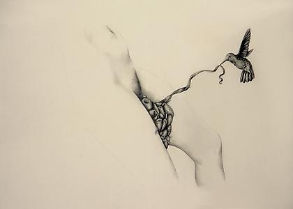PATRICIA PICCININI
Figure with Hummingbirds
2010, graphite on paper, 22.5 x 30 inches