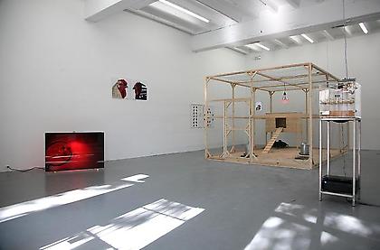 KOEN VANMECHELEN
The Cosmopolitan Chicken Project (DC)
installation view
