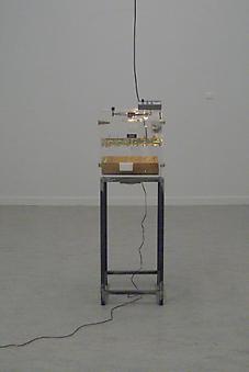 Koen Vanmechelen
Incubator Breeding Machine
2002/2009, Transparent incubator with audio