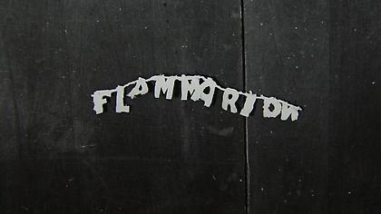 SUSAN MACWILLIAM
F-L-A-M-M-A-R-I-O-N (video still)
2009, Blu-ray, 17 minutes, 13 seconds