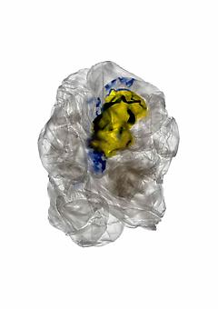 Dean Kessmann
Have a Nice Day (from Plastic on Paper)
2006, archival pigment print, 34 x 24 inches, edition: 2 + proofs.