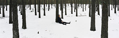 Maria Friberg
<i>still live 11</i>
2008, cibachrome, 3.5 x 8.5 ft, edition: 6