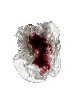 Dean Kessmann
Target (from Plastic on Paper)
2006, archival pigment print, 34 x 24 inches, edition: 2 + proofs.