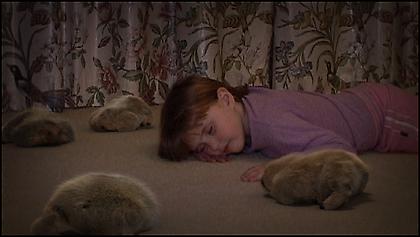 PATRICIA PICCININI
The Gathering
2007, single channel video, 3 minutes 31 seconds