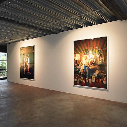 Sebastian Guinness Gallery, Ireland, 2009