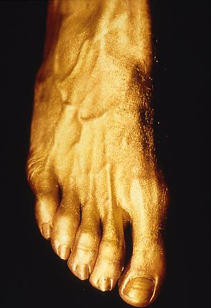 Gold Foot With Veins