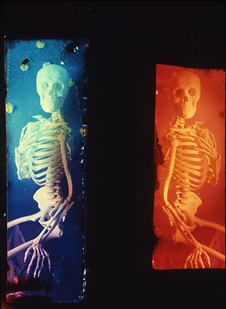 Life Never Dies: Blue and Red Skeleton