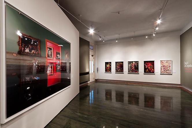 Museo Arte Contemporaneo De, Puerto Rico, 2011