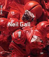 <i>Neil Gall: Works 2007-2011</i> published January 2012