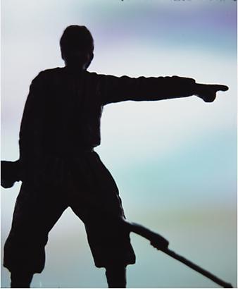 <i>Anarchy (Traitor)</i>, 2011
Cibachrome print, silicone, acrylic, wood frame
Image: 60 by 50 inches (152.4 x 127 cm)
Frame: 66 by 56 inches (167.6 x 142.2 cm)
Edition1/3 Image