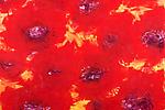 Alessandro Twombly
