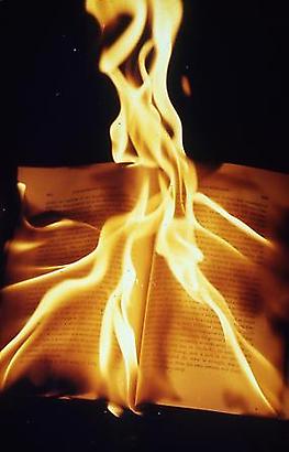 Book In Flames