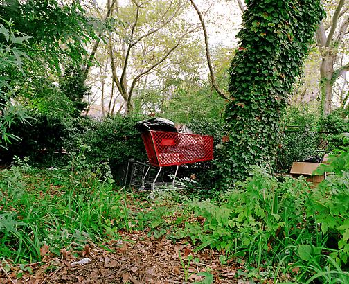 <i>Shopping Cart</i>, 2008
C-print
50 x 60 inches