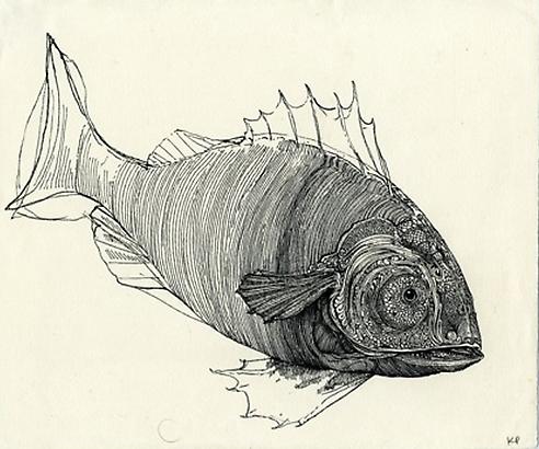 Kristofer Porter
Fish, 2010
ink on paper
8 x 9.75 inches