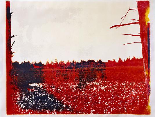 Matthew Brandt
Dead Lake OR 6, 2008
Chromogenic print soaked in Dead Lake water
30 x 40 inches
Unique Photo