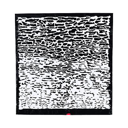 <i>Bianco Trash 14</i>, 2012
Acrylic on Trash Bag
31 x 32.5 inches
78.7 x 82.6 cm