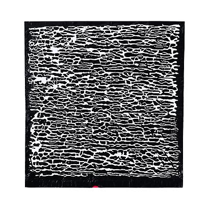 <i>Bianco Trash 30</i>, 2012
Acrylic on Trash Bag
31 x 32.5 inches
78.7 x 82.6 cm