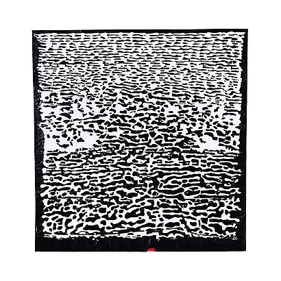 <i>Bianco Trash 29</i>, 2012
Acrylic on Trash Bag
31 x 32.5 inches
78.7 x 82.6 cm