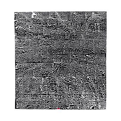 <i>Bianco Trash 28</i>, 2012
Acrylic on Trash Bag
31 x 32.5 inches
78.7 x 82.6 cm