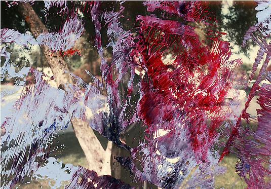 <em>The fate of the nation</em>, 2011
22.75 x 32.75 in
Chromogenic print