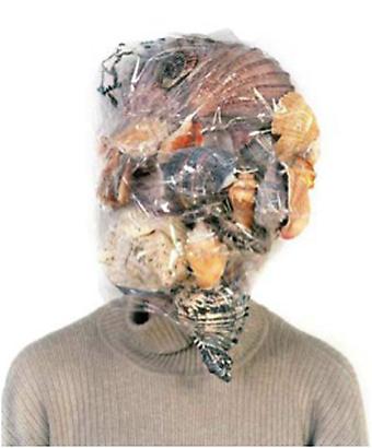 Justin Cooper
	<i>Untitled (Seashells)</i>, 2006
	Archival inkjet print on Sintra
	Edition 1/3
	45 x 35 inches
	114.3 x 88.9 cm