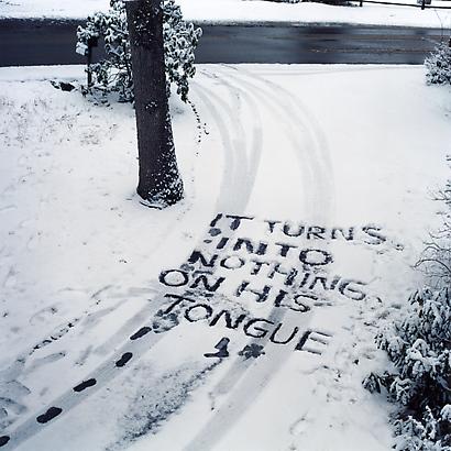 Augusta Wood
it turns into nothing on his tongue, 2005
Chromogenic print
49 x 49 inches
Edition of 5 with 2 AP's