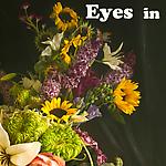 Eyes in