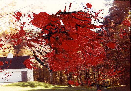 <em>Fall 1981</em>, 2011
22.75 x 32.75 in
Chromogenic print