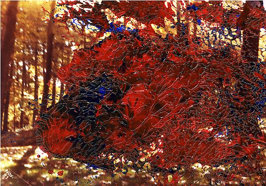 <em>Fall 1981</em>, 2011
22.75 x 32.75 in
Chromogenic print