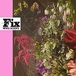 The Fix