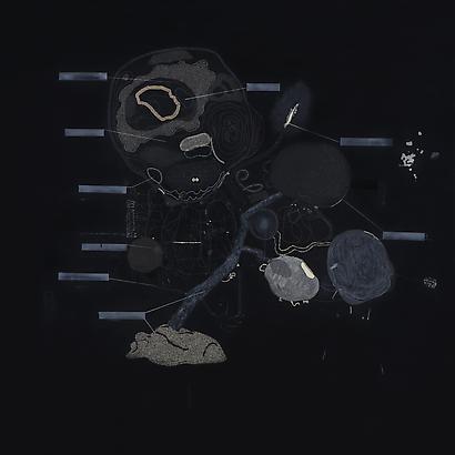 Plastic Brain, 2009
Acrylic on Canvas
55.12 x 55.12 inches
140 x 140 cm